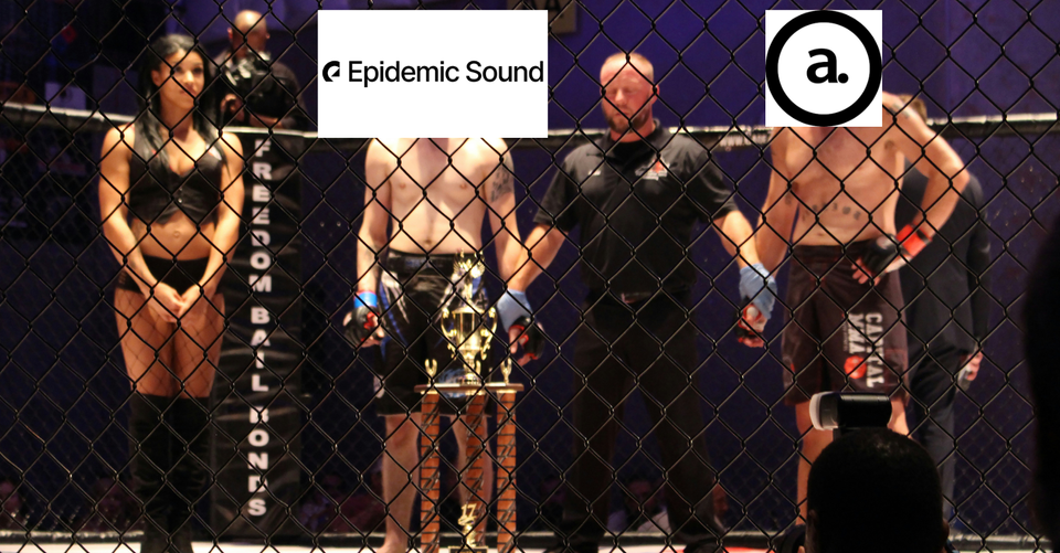 Epidemic Sound vs. Audiio